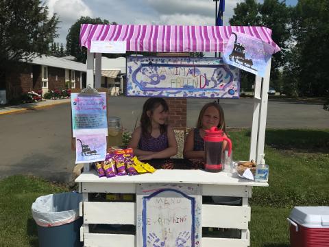 Lemonade Stand 3